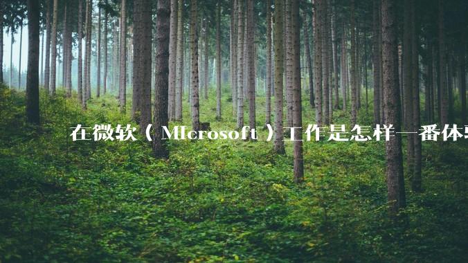 在微软（Microsoft）工作是怎样一番体验？
