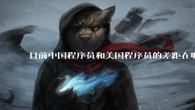 目前中国程序员和美国程序员的差距在哪里？