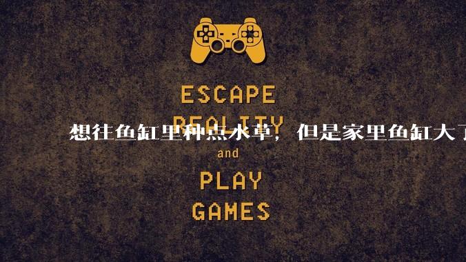 想往鱼缸里种点水草，但是家里鱼缸大了买水草泥或者底砂太贵了，有没有生活中可以替代的物品或其他建议？