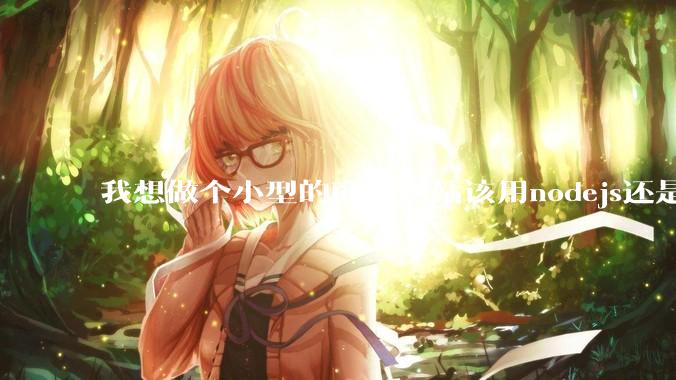 我想做个小型的商业网站该用nodejs还是python做后端？