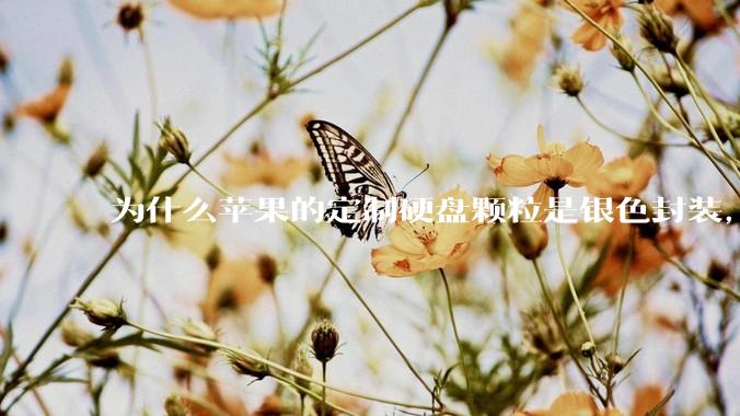 为什么苹果的定制硬盘颗粒是银色封装，而无论是nvme ssd，笔记本板载还是手机硬盘都是黑色封装?