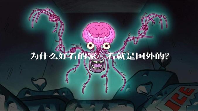 为什么好看的家一看就是国外的？