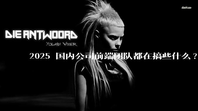 2025 国内公司前端团队都在搞些什么?