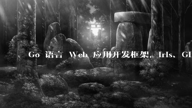 Go 语言 Web 应用开发框架，Iris、Gin、Echo，哪一个更适合大型项目？