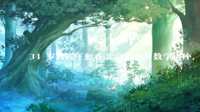 34 岁教授王虹在北京大学开数学讲座，她或将成为首位获得菲尔兹奖的中国籍数学家，有多厉害？