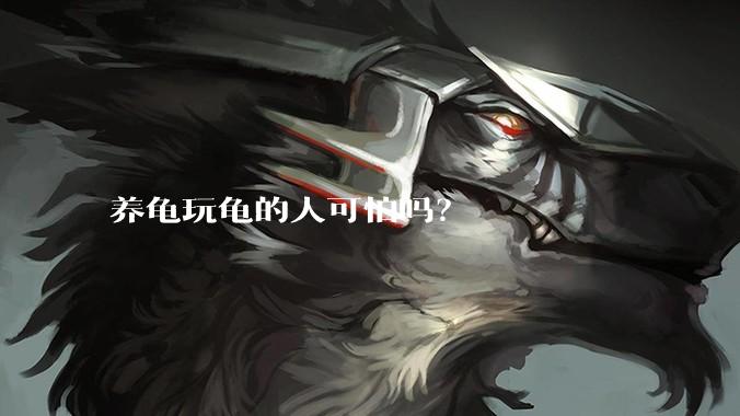 养龟玩龟的人可怕吗？