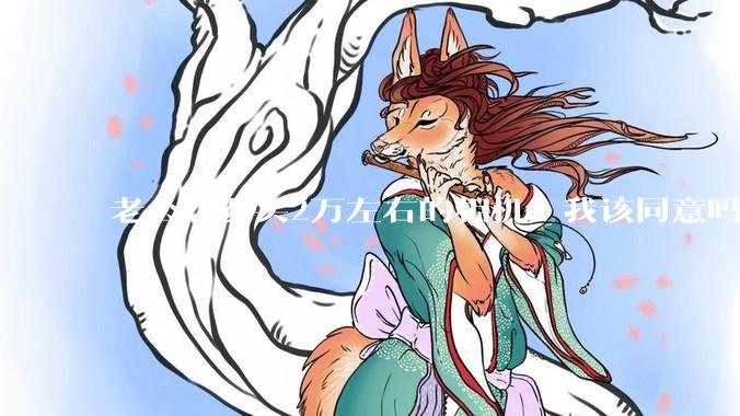 老公想要买2万左右的相机，我该同意吗？