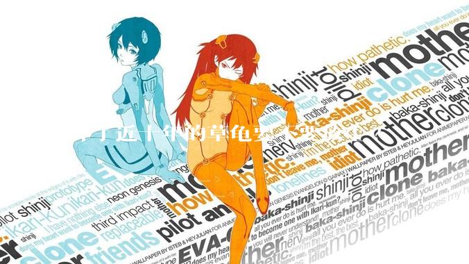 养了近十年的草龟要不要放生?