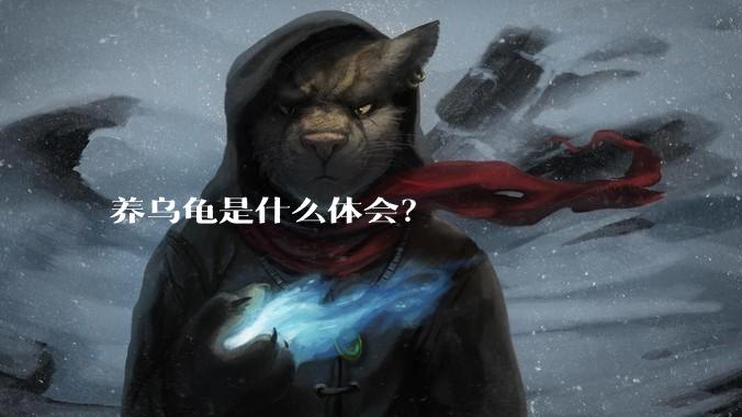 养乌龟是什么体会？